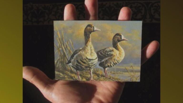 Wild Duck Chase