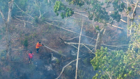Southeast Asia endures year of extreme weather amid El Nino