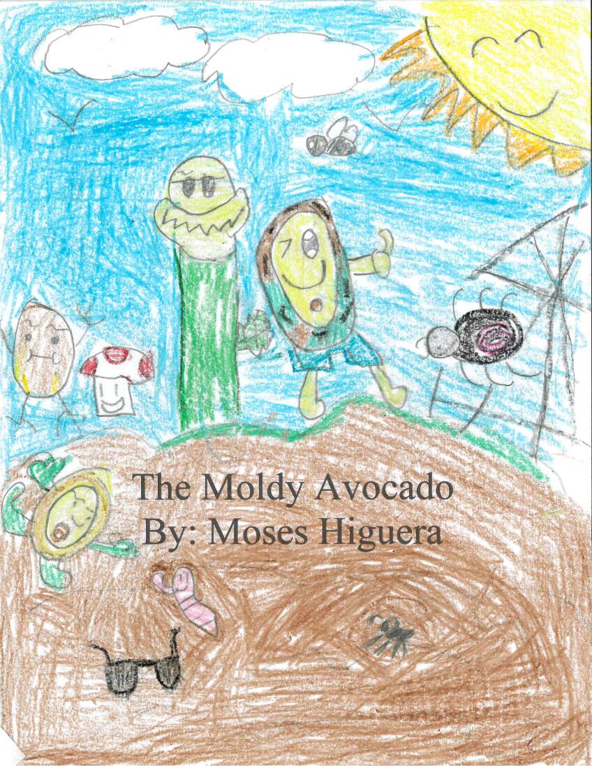 The Moldy Avocado