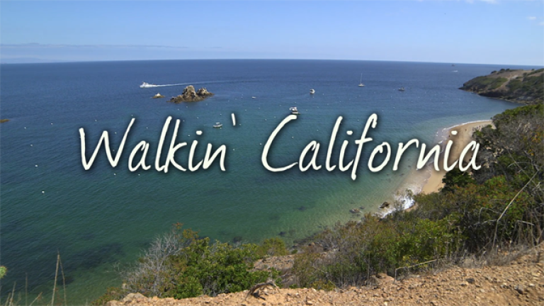 Catalina Island