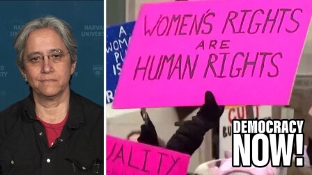 Image of a person sitting in front of a Harvard University backdrop, and another image of a neon pink sign being held up, saying "Women's rights are human rights."