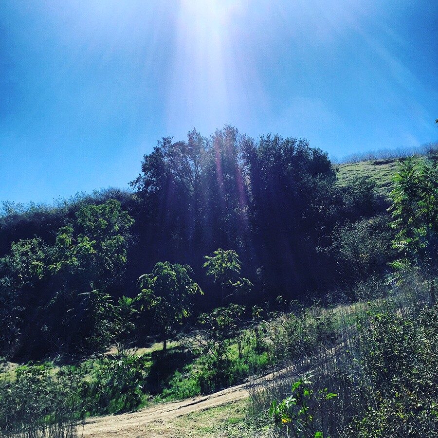 green_el_sereno_hills_iris_de_anda.jpg