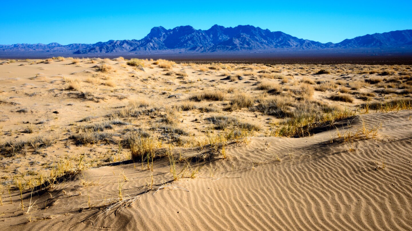 Mojave Desert