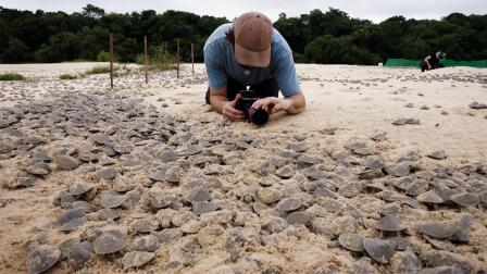 Parenthood Diaries: Behind the Scenes