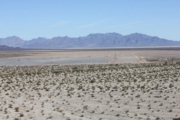 Desert-Sunlight-10-2-12-thumb-600x400-37153
