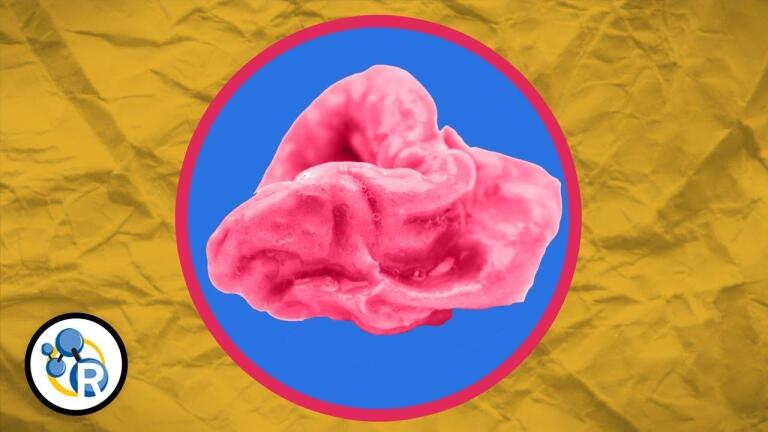 Does Gum Really Stay In Your Stomach for 7 Years?