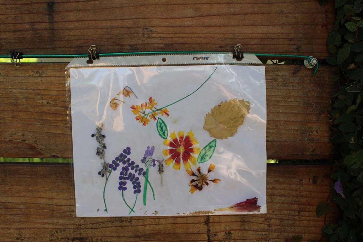 A picture featuring dried flowers hangs on Dan Fields’ Los Feliz fence gallery. | Jean Trinh