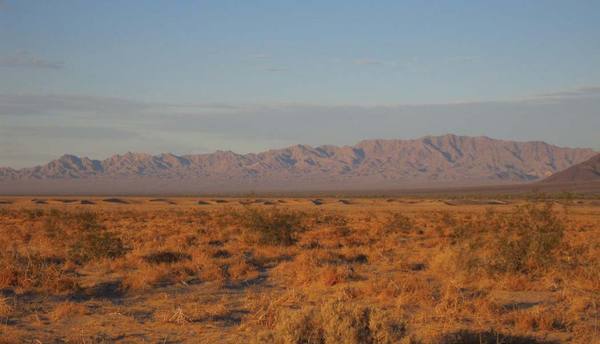 palen-site-8-11-15-thumb-630x361-96243
