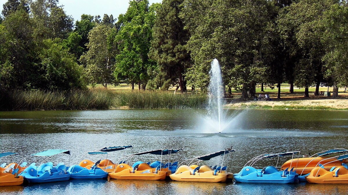 Pedal boats at at Legg Lake at Whittier Narrows Recreation Area | Sandi Hemmerlein