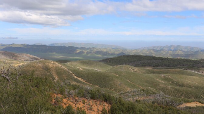 Forest with serpentine barren | Photo: Natividad Chavez, BLM