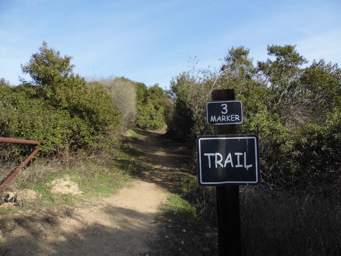 A trail in the Olinda Oil Museum | Sandi Hemmerlein