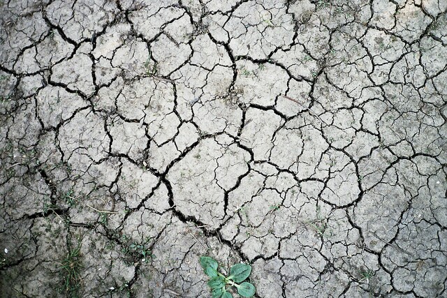 droughtfacts