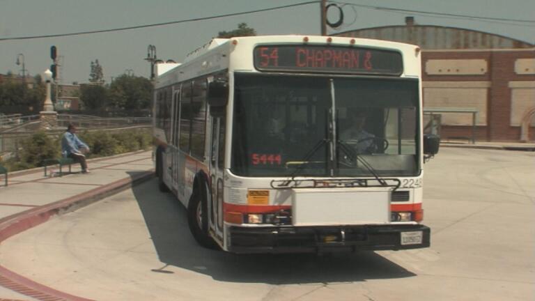 Bus Fare Hike ?