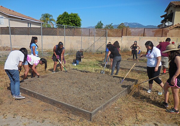 AHS_Garden_SmallGroup3