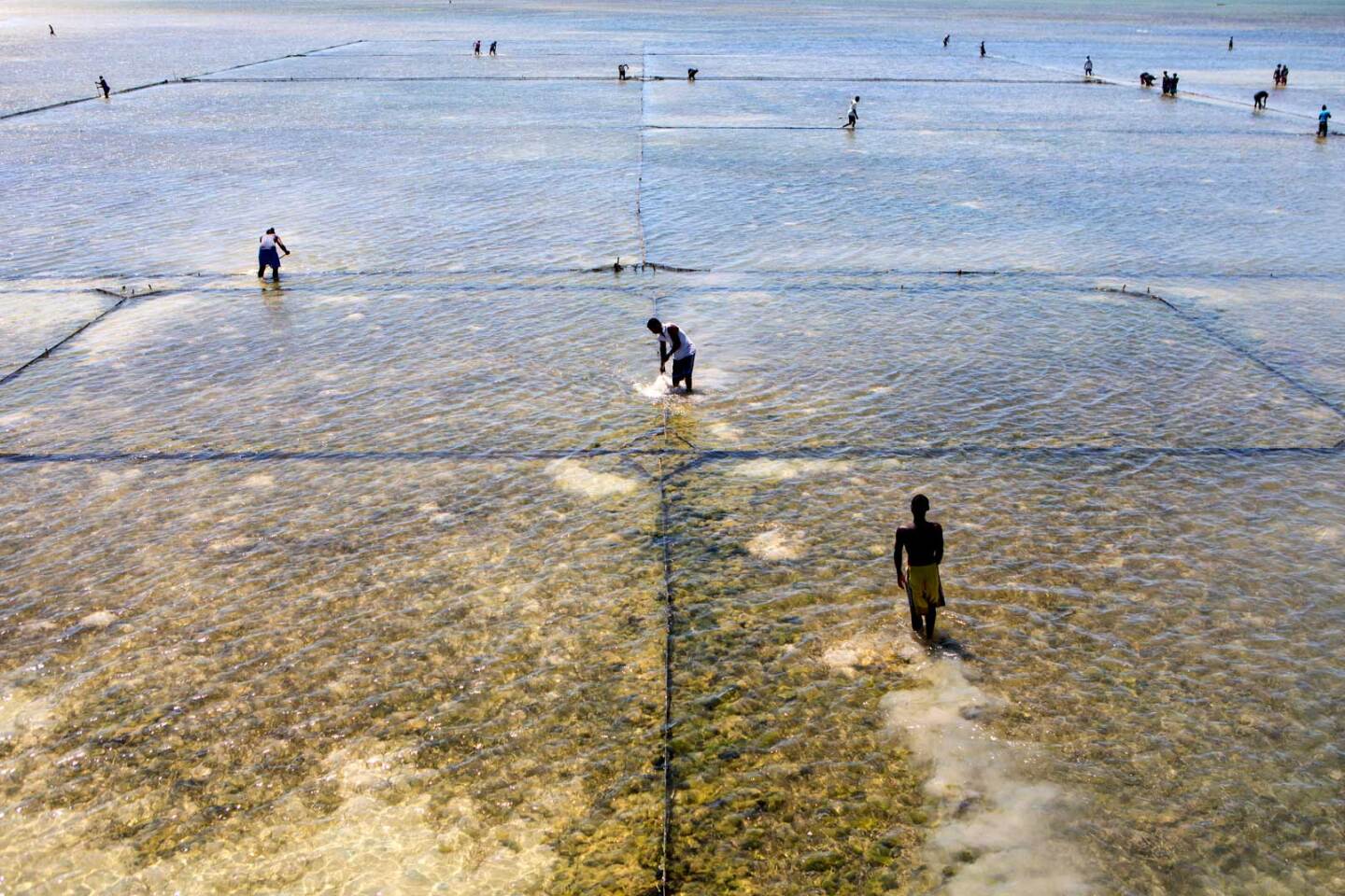 People working on a sustainable sea cucumber farm in Madagascar. | Nicky Milne/Thomson Reuters Foundation