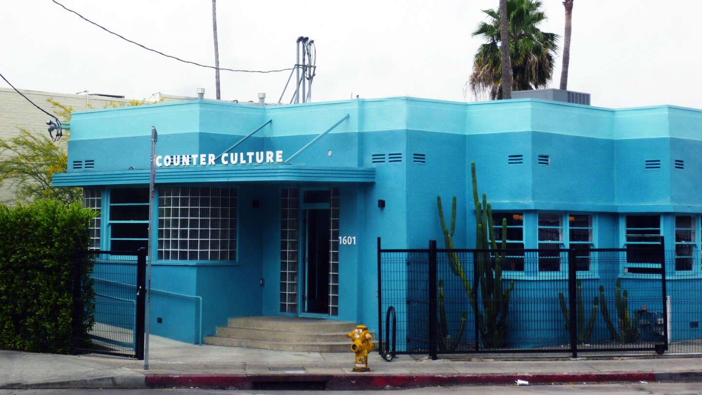 counter culture coffee