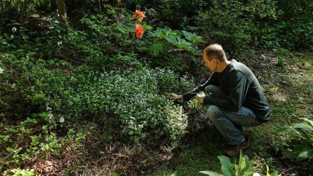 Bill Moody on plant medicine