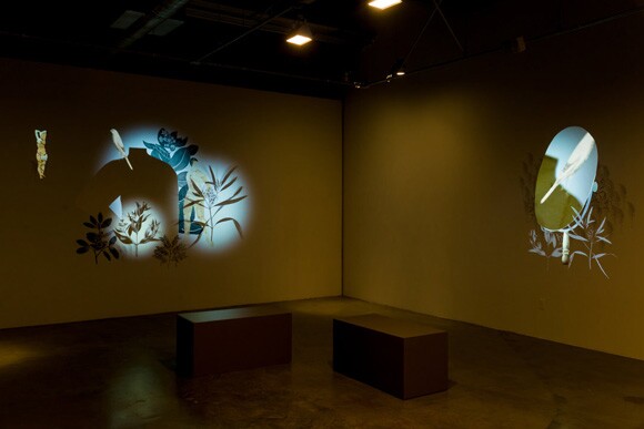 Stas Orlovski, Chimera, Installation view, Don Milici