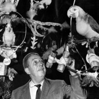 Walt Disney in the updated Tiki Room in 1963 | Herald Examiner Collection at Los Angeles Public Library