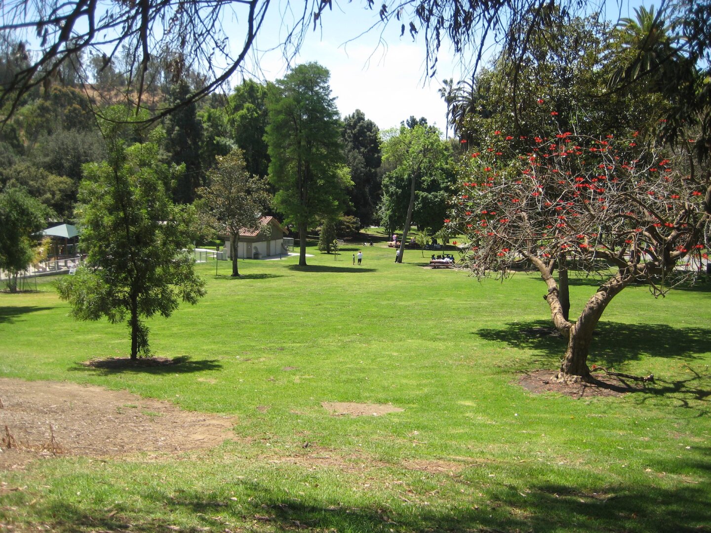 A 2009 view of Elysian Park