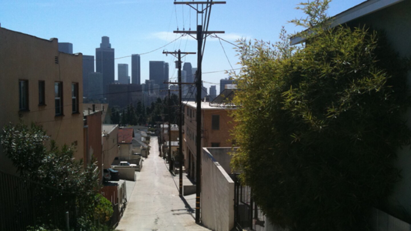 View of Downtown L.A. From Annie's hill