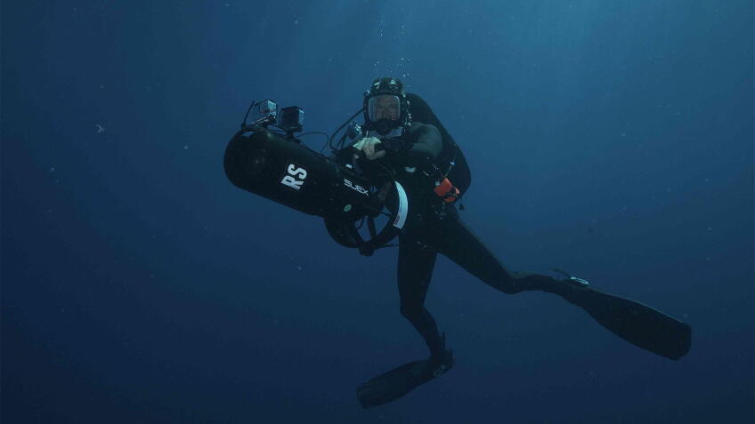 Socorro: Expedition Shark Island