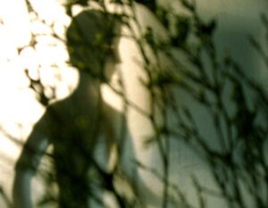 Reptile_Garden_3