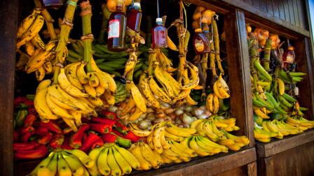 Dependent on imports, Puerto Rico's food eyes local rebirth