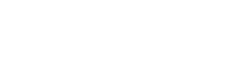 Mannheim Steamroller 30/40 Live