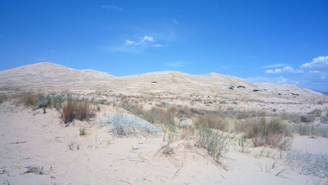 kelso dunes
