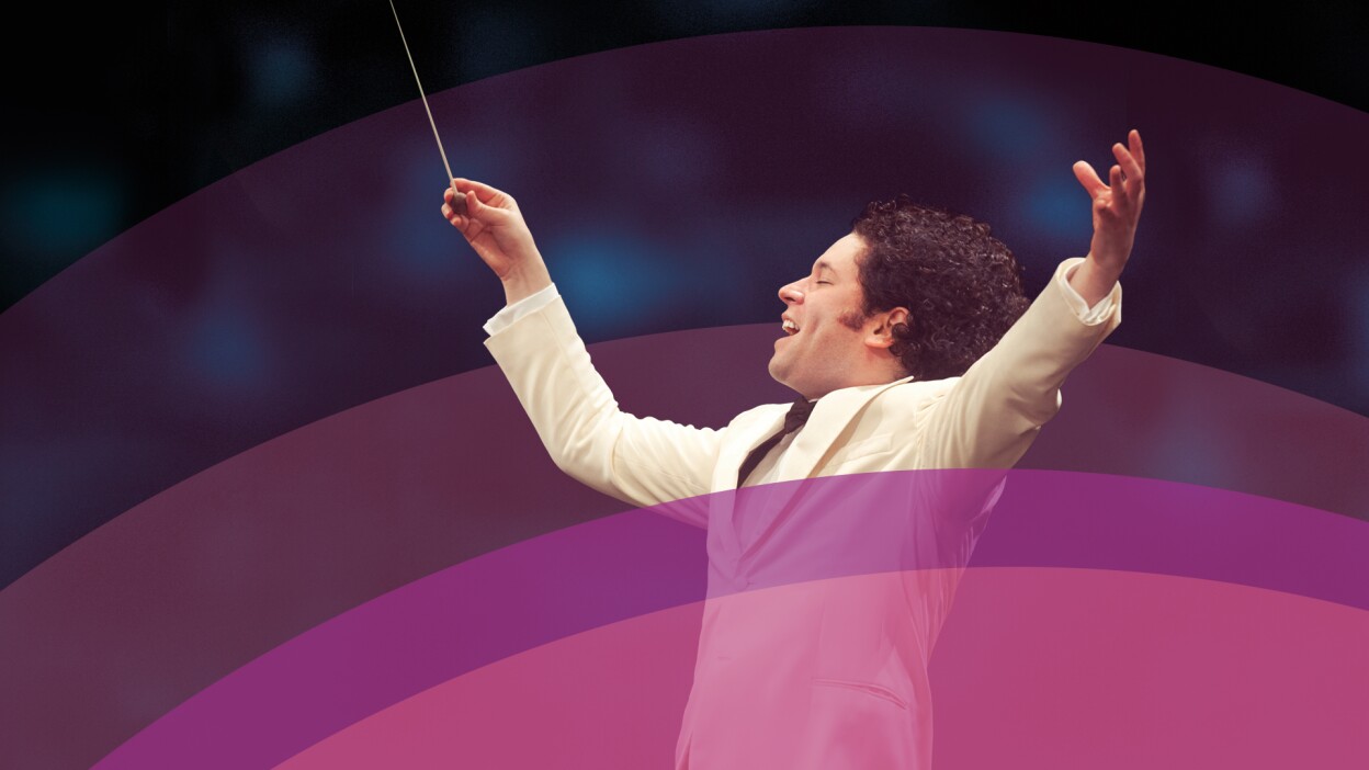 In Concert at the Hollywood Bowl signature image
