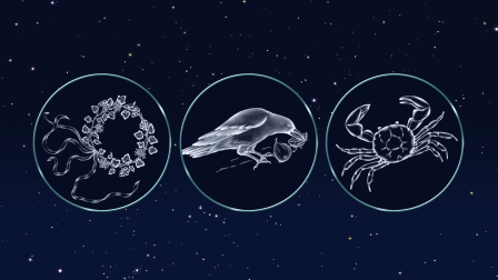 Find the Crown, Crow and Crab | February 23 - March 1