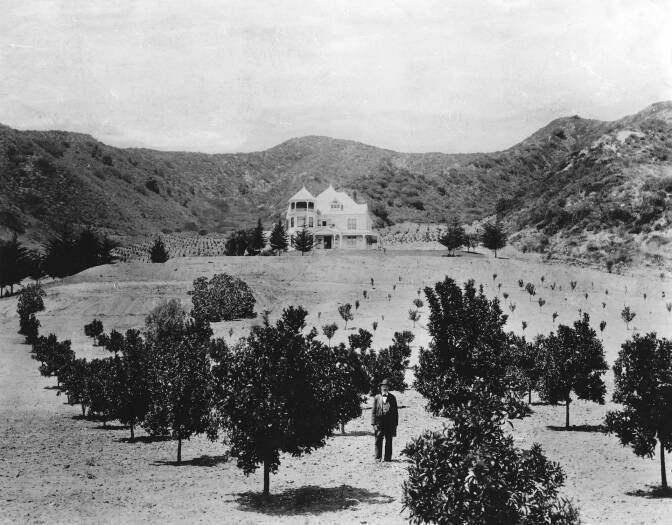 Charles Harper and his orchard, 1898