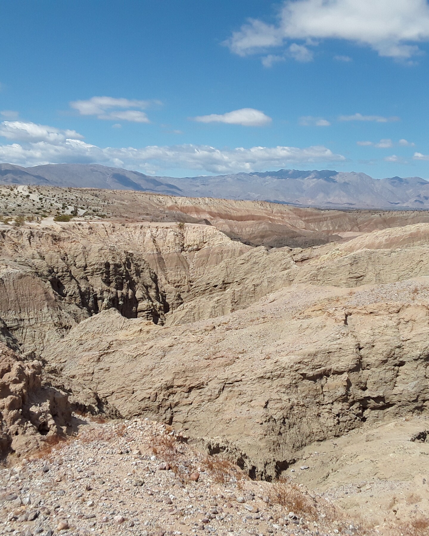 The view at the Slot Canyon Overlook.