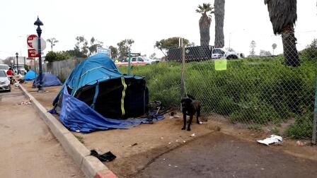 Homeless Camp Ban Rejected