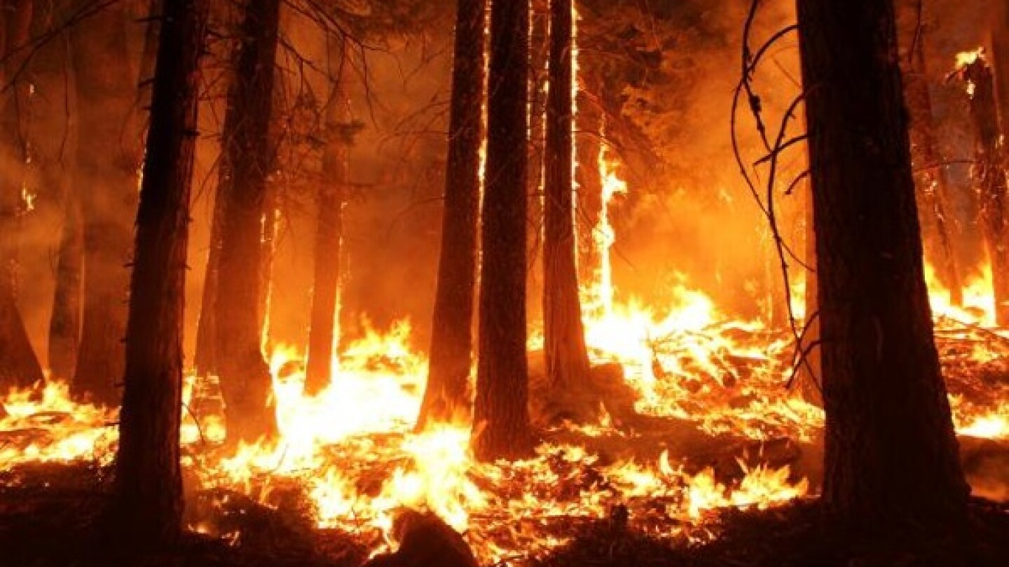 Fire from a burning operation around the Rim Fire. | Photo: Courtesy Mike McMillan/USFS/Inciweb