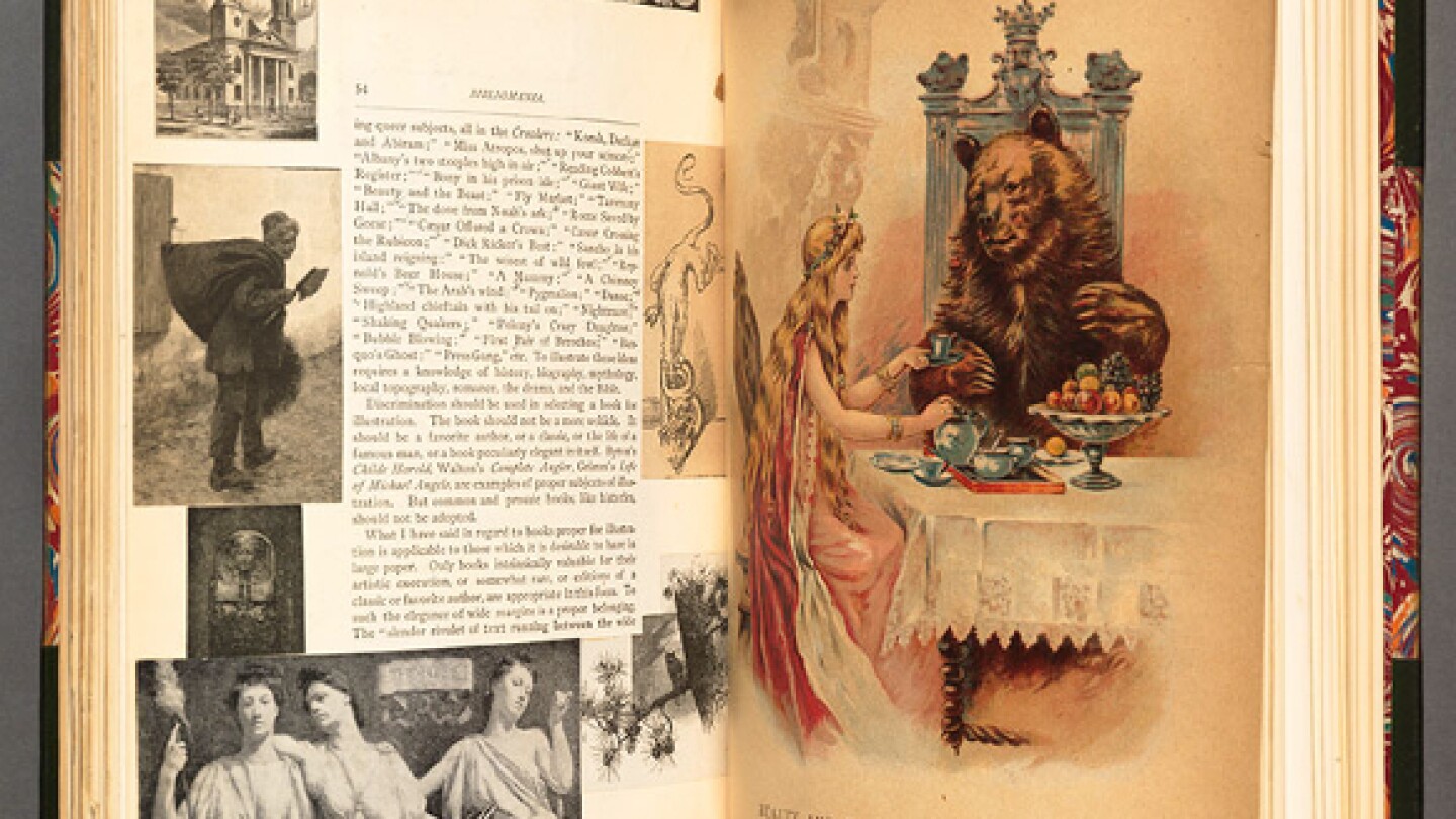 Irving Browne, Iconoclasm and Whitewash. New York, 1886. Illustrated by the author. The Huntington Library, Art Collections, and Botanical Gardens.