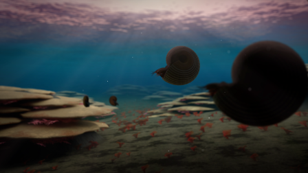 The Rise and Fall of an Ancient Reef | Life and Death on Pangea