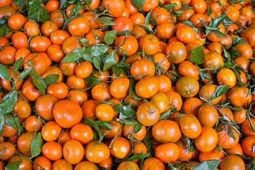 Citrus