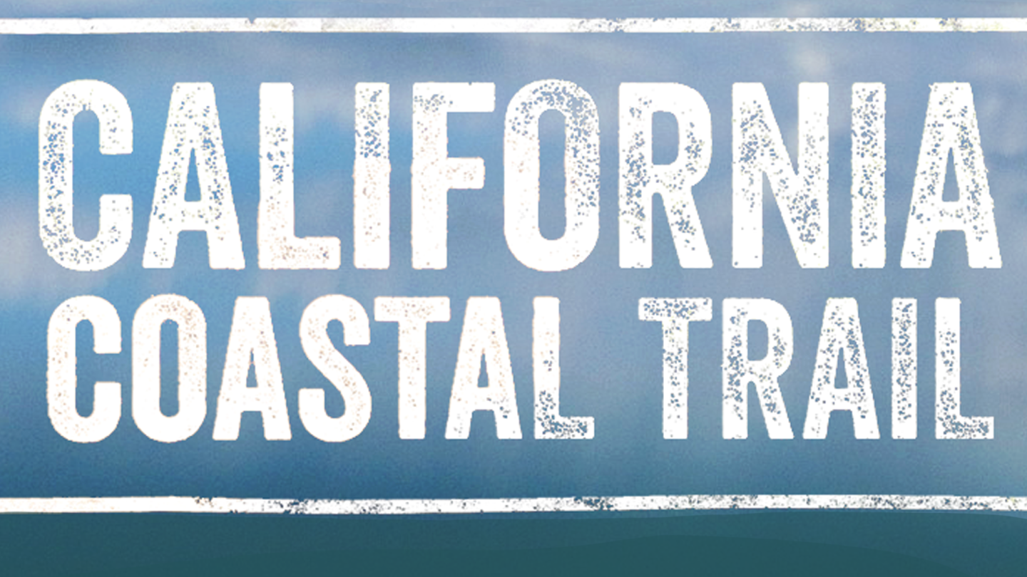 California Coastal Teail