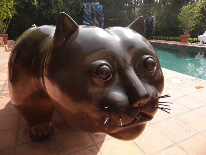 weisman_cat.jpg