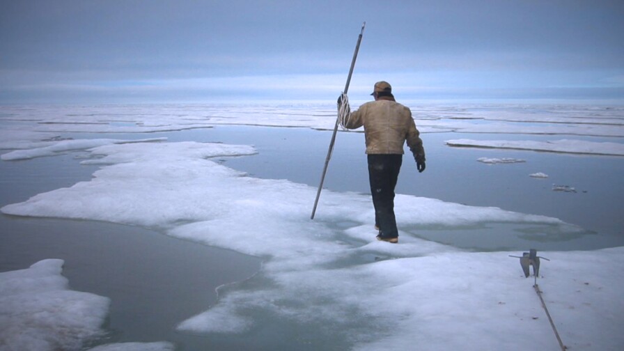 Climate Change: Rising Cost