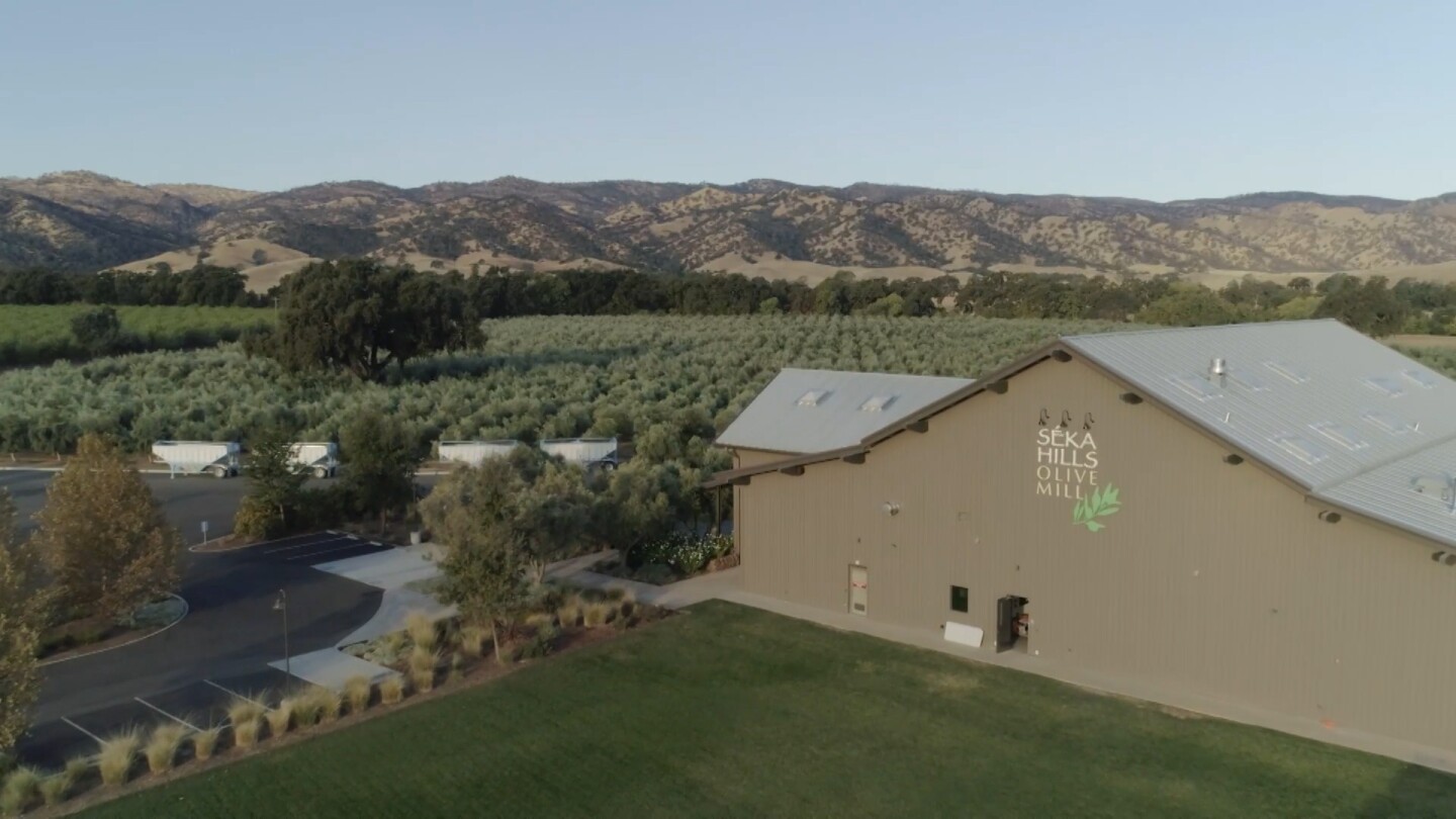 Overhead shot of an olive mill. | Still from "Tending Nature: S3 E3 - Reclaiming Agriculture with the Yocha Dehe Wintun Nation"