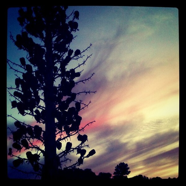6068354638_a2cbdc03fa_o-thumb-600x600-48899