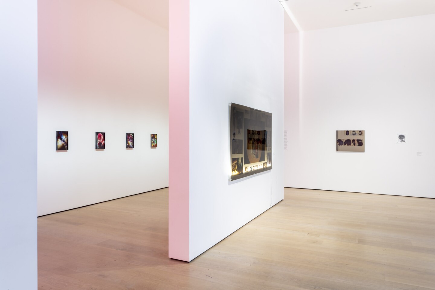 An installation view of Kandis Williams' work at "Made in L.A. 2020: a version." at Hammer Museum, Los Angeles. | Joshua White / JWPictures.com.