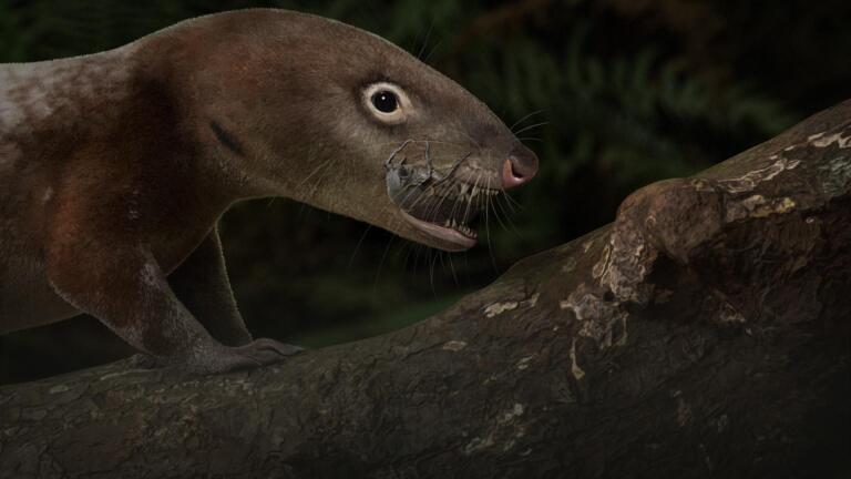 How Chewing May Have Beat Extinction