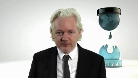 assange dnc
