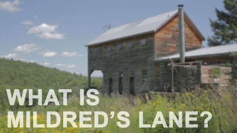 What is Mildred's Lane?