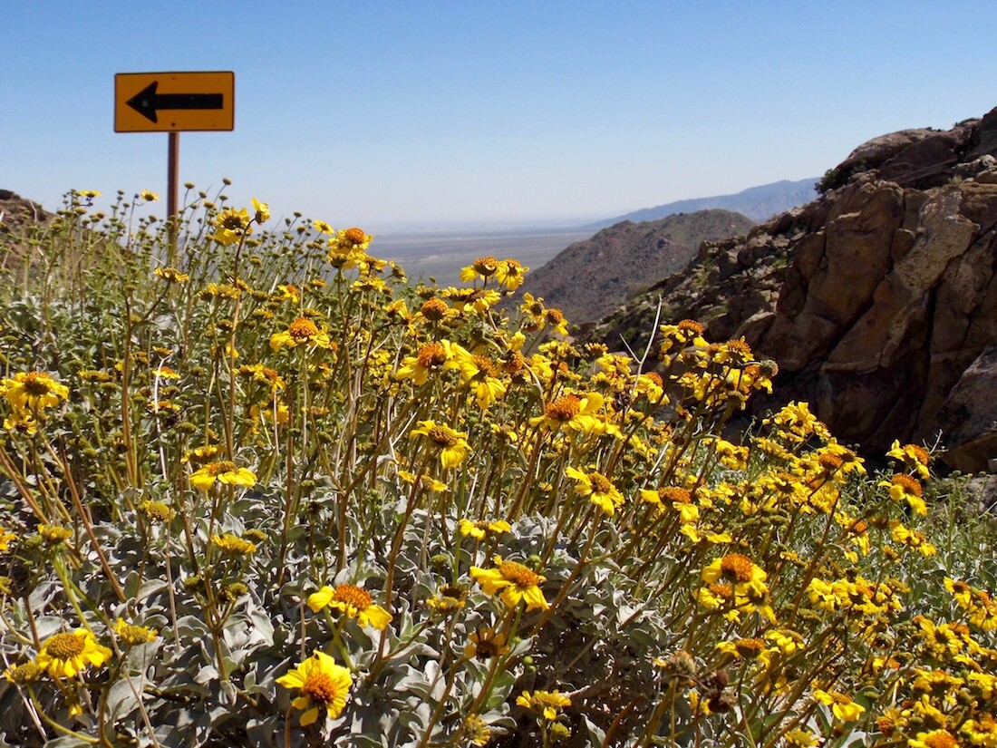 Montezuma Grade