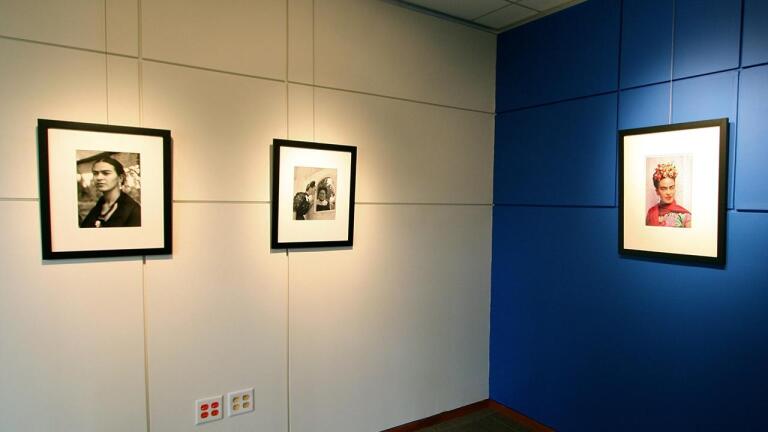 207: Frida Kahlo Exhibit